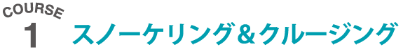 スノーケリング＆クルージング