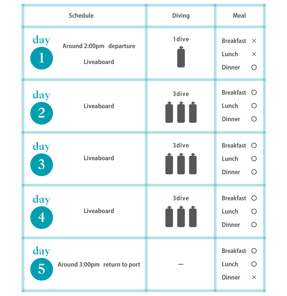 ダイビングクルーズのスケジュール
